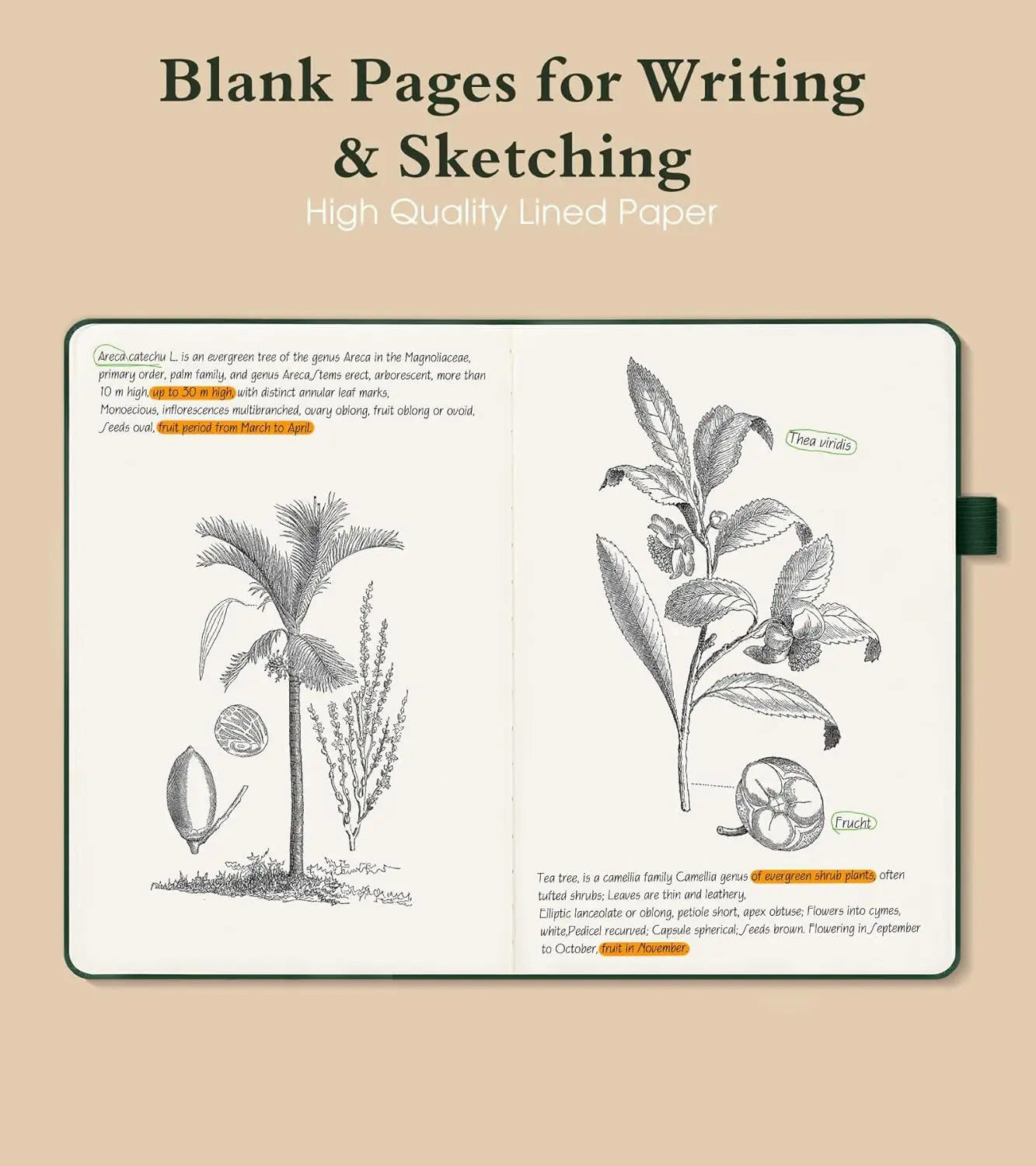 A5 Hardcover Blank Journal, 160 Pages for Drawing, Writing, Travel - Unlined Notebook with Elastic Closure (Green)